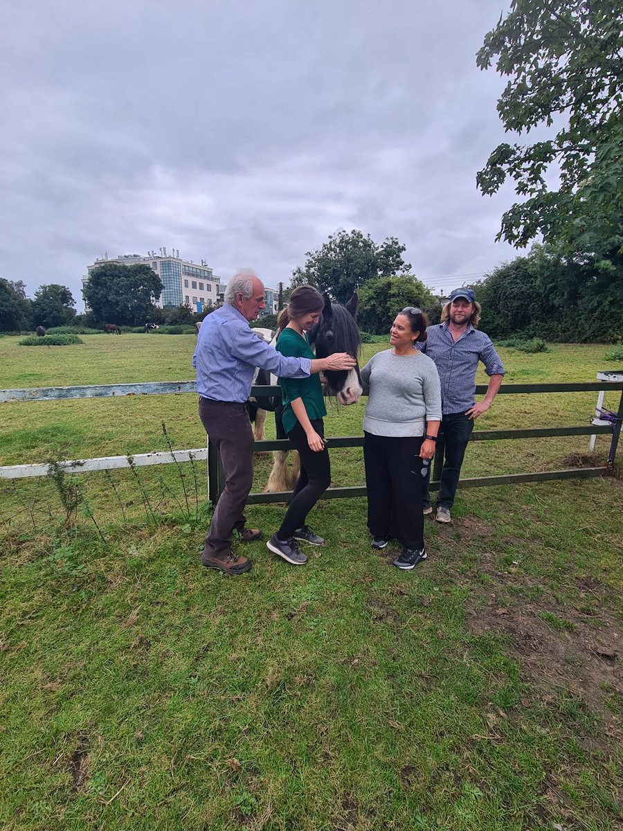 Dublin Central SF tweet media