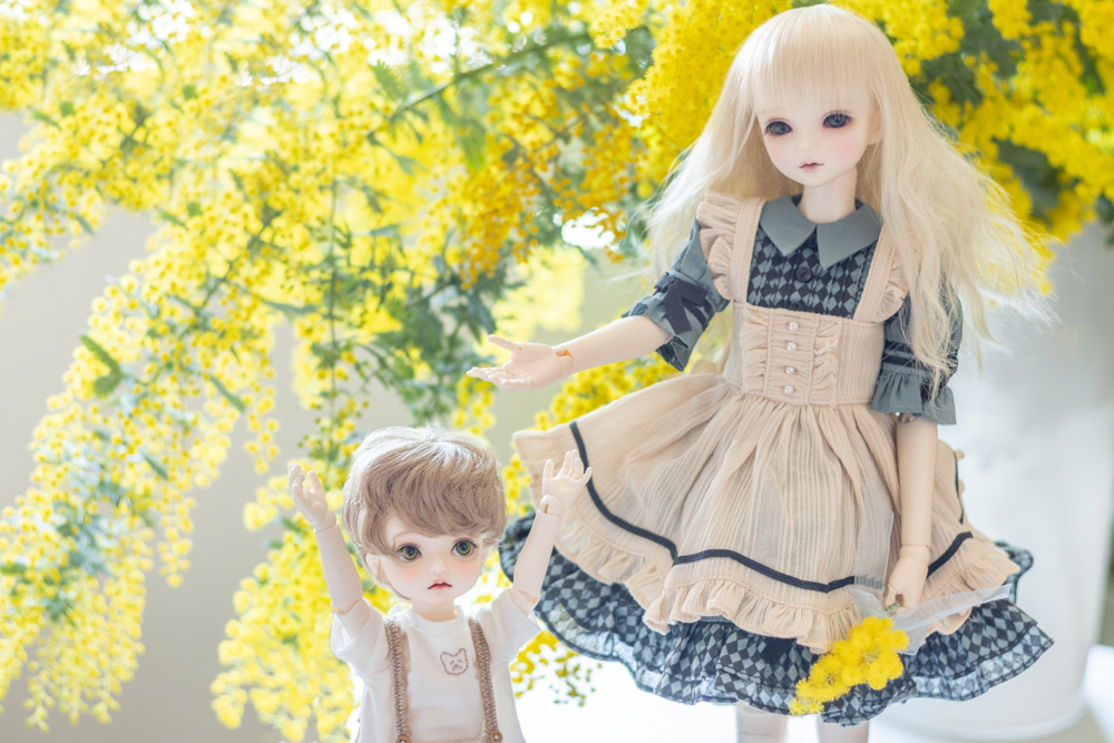 papier_to_puppe's tweet image. ミモザの日の残りの写真も現像しました📷✨
#myoudoll