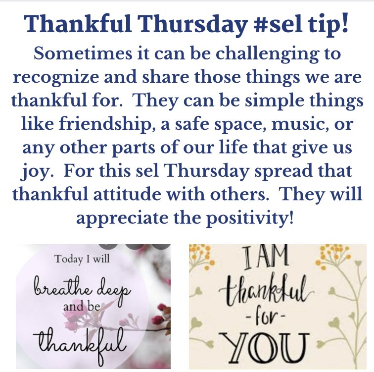 Craig Shapiro tweet media