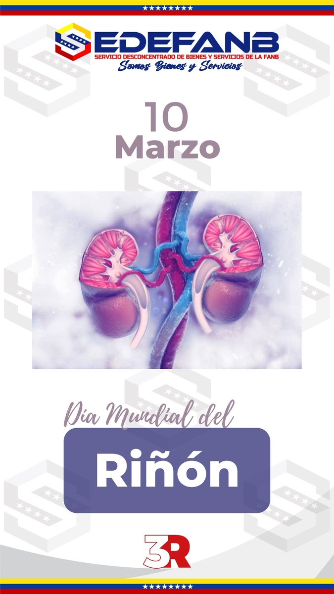 sedefanb's tweet photo. Celebrado cada año su objetivo es crear conciencia sobre la importancia de nuestros riñones y reducir el impacto de la enfermedad renal y sus problemas de salud asociados en todo el mundo.
 
#10mar #efemerides  #SEDEFANB #Venezuela https://t.co/kom7GLECjD