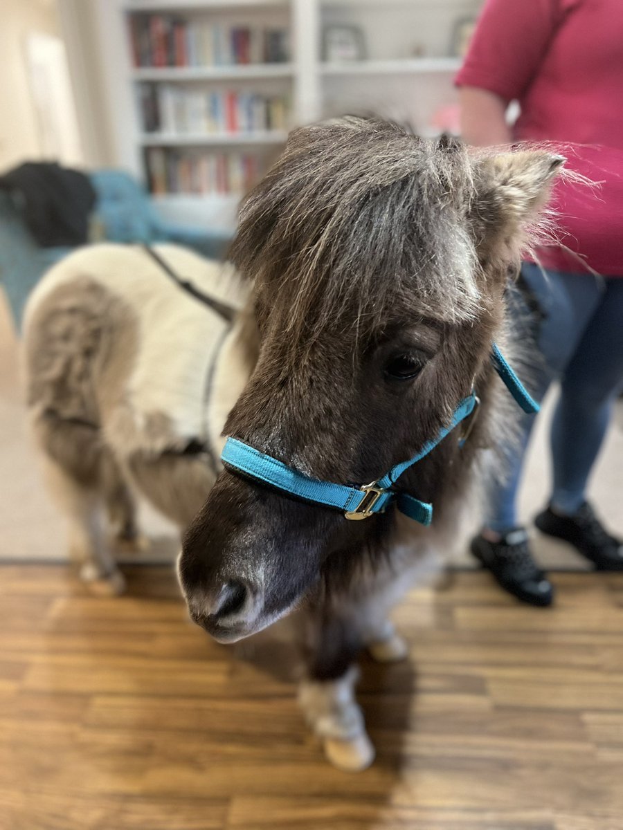 MoorePlaceEsher's tweet photo. We believe that keeping our residents socially active and engaged in activities can bring many benefits to their well-being. 

One of our residents favourite activities is pet therapy which is a regular activity on our planner each month. 

#MoorePlace #Esher #PetTherapy #Surrey https://t.co/cQ8pwTQW0g
