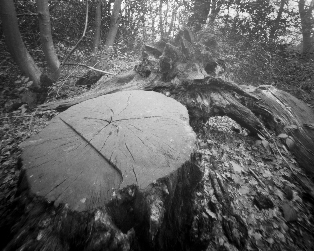 paulasmithphoto's tweet photo. Getting a feel for how wide the Ondu 4x5 Rise is. Sadly the little Robin isn't even a blur.
3.5 min exposure
Fomapan 400 developed in Rodinal 1+50
#ondupinholecamera #4x5photography #fomapan400 #rodinaldeveloper #eppingforest #pinhole #largeformatphotography #filmphotography https://t.co/DRoqiop8d0