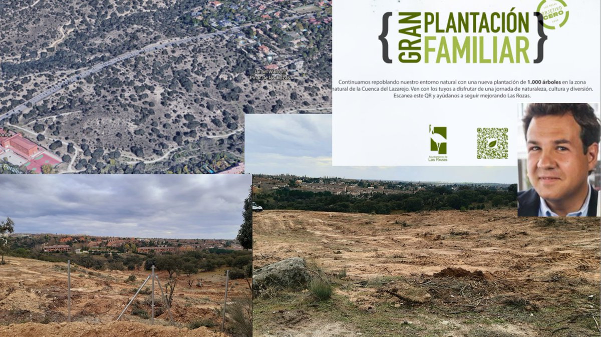 BurnsRules's tweet photo. En #LasRozas seguimos comprometidos con la conservación de nuestro patrimonio natural. Tras el paréntesis del Covid, retomamos nuestra labor urbanizadora. Como aperitivo de lo que haremos en Kodak,nos hemos cargado un encinar completo en el Arroyo perales. Ahora está mucho mejor. https://t.co/3SNvLmer62