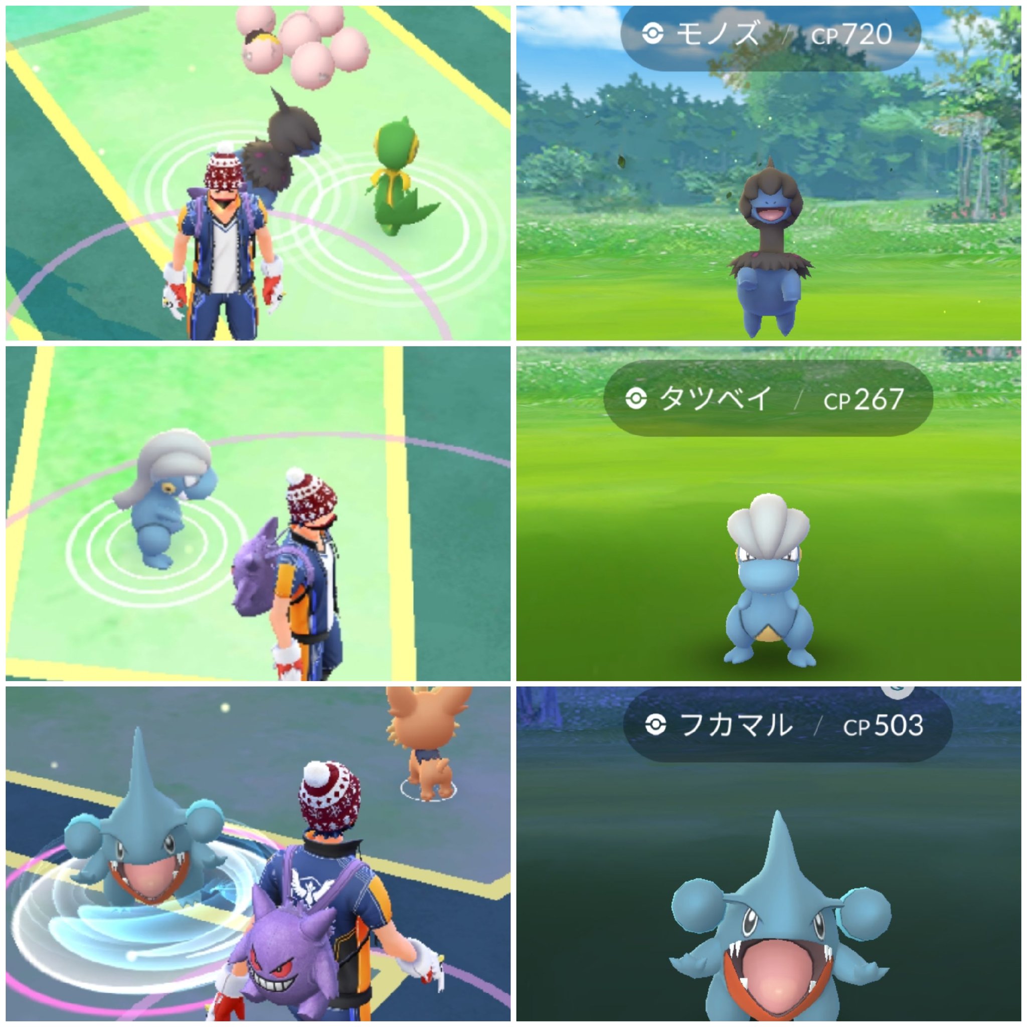 Amazinghisa 今日のポケモンgo活動 野生でドラゴン3種類と遭遇 レイドはイワンコとカプ コケコ 無事に捕獲 相棒の色違いハガネールにリボン 次のコミュニティにはメガシンカさせよう ポケモンgo モノズ タツベイ フカマル イワンコ カプ