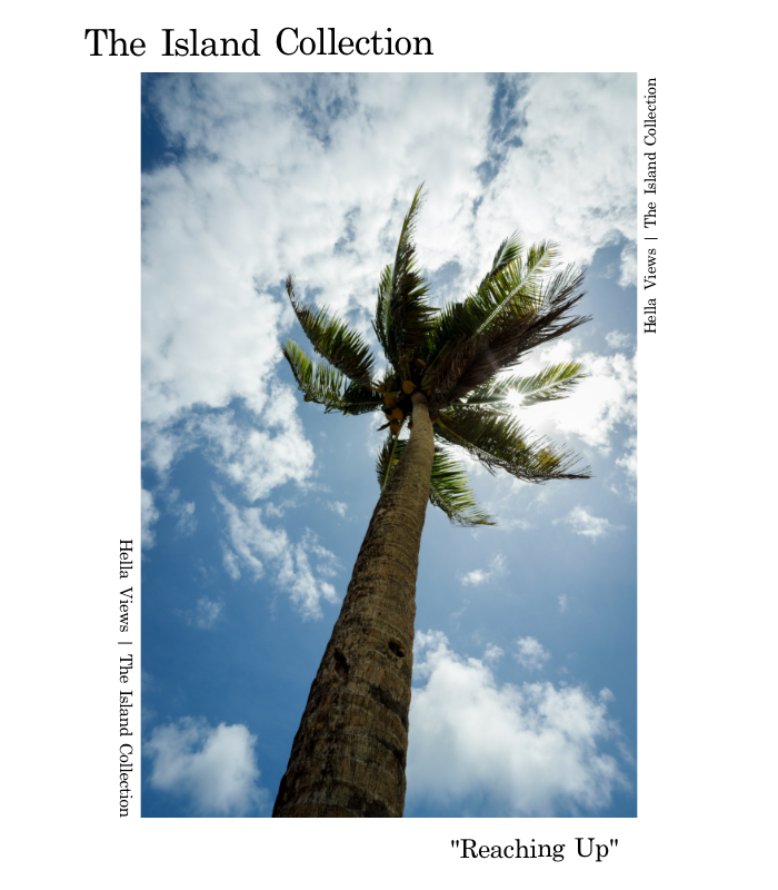 Hella_Views's tweet image. 🏝️"Reaching Up" 🏝️is currently up for bid. Get it now on exchange. 

exchange.art/collections/Th…

📸📸📸📸📸📸📸📸📸📸📸📸📸
#HellaViewsNFT #nftart #SolanaNFTs #Solana #NFTauction #NFT