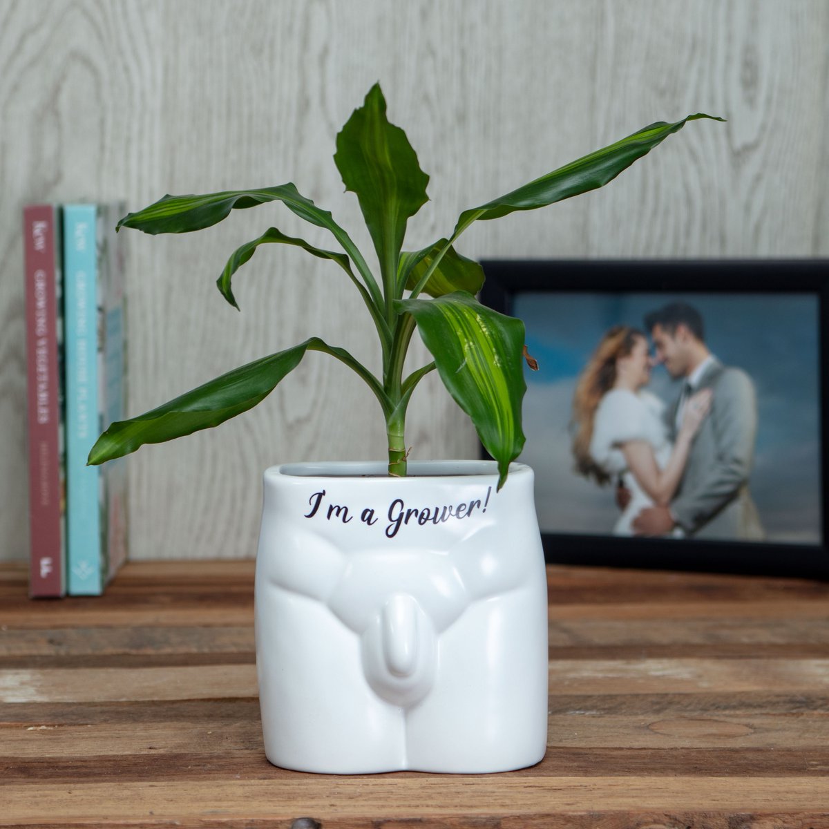 Make any room saucy with our hilarious new ceramic plant pots!🌵Moulded into the shapes of male and female anatomy, they're sure to get your guests talking!🍆