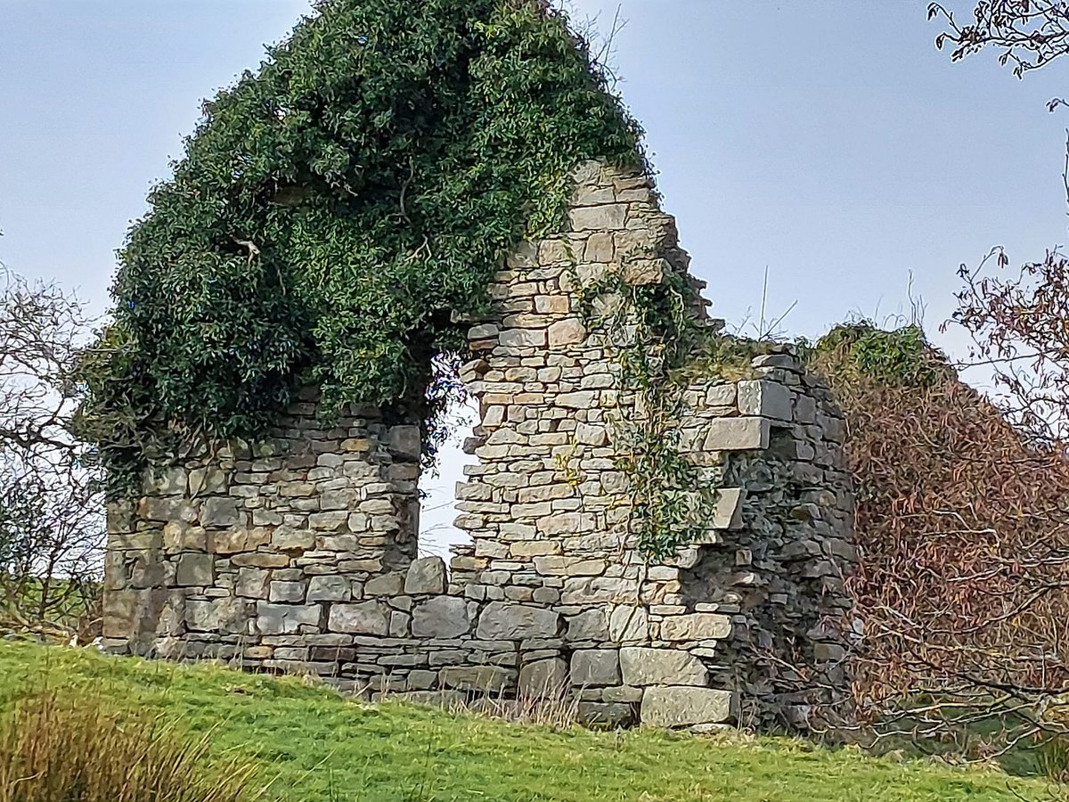 LeitrimTNetwork's tweet photo. The ruins of Rosclogher Castle and Church on the shore of Lough Melvin, ancestral home of the Mac Clancys of Dartry. #heritage #history #loughmelvin #crannog #spanisharmada #macclancy #leitrim #dartry #irelandshiddenheartlands #wildatlanticway #ireland
https://t.co/xAPEsD0IpP https://t.co/Sa8X9aeLVR