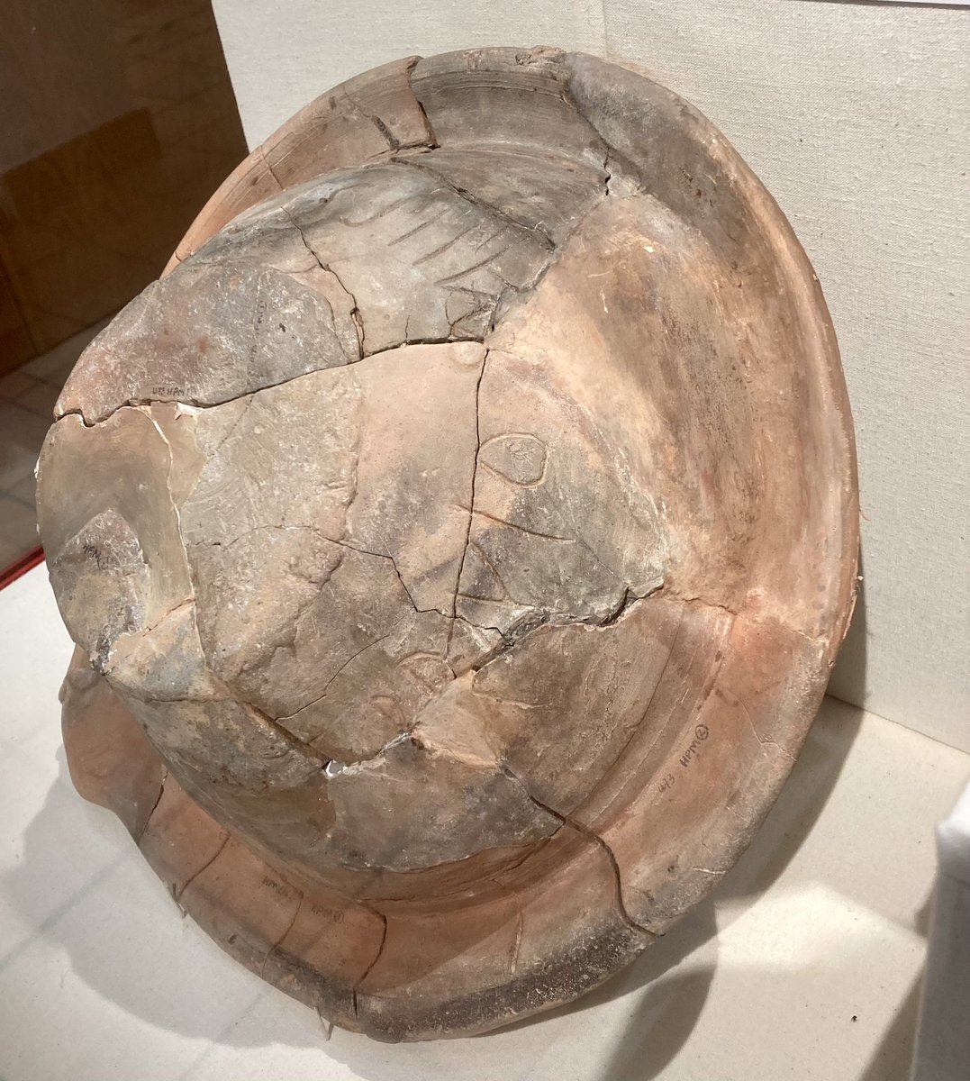 ServiliusPulex's tweet photo. Mortarium (food-mixing bowl) from the fort at Usk and on display @RomanCaerleon Inscribed before firing ‘Mixing-bowl for the mess unit of Messor’. A waster from the local kilns. Mid-1st Century AD #RomanFortThursday #romanarchaeology #Usk #Burrium https://t.co/ZchgFMgDNu https://t.co/GuiT0fLcrr