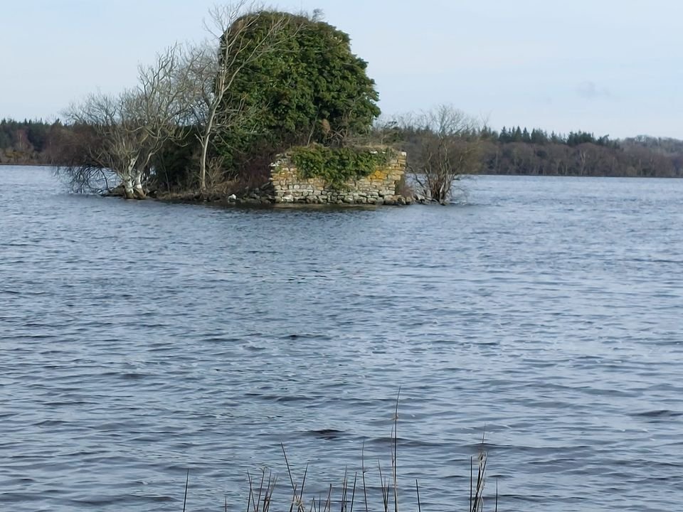 LeitrimTNetwork's tweet photo. The ruins of Rosclogher Castle and Church on the shore of Lough Melvin, ancestral home of the Mac Clancys of Dartry. #heritage #history #loughmelvin #crannog #spanisharmada #macclancy #leitrim #dartry #irelandshiddenheartlands #wildatlanticway #ireland
https://t.co/xAPEsD0IpP https://t.co/Sa8X9aeLVR