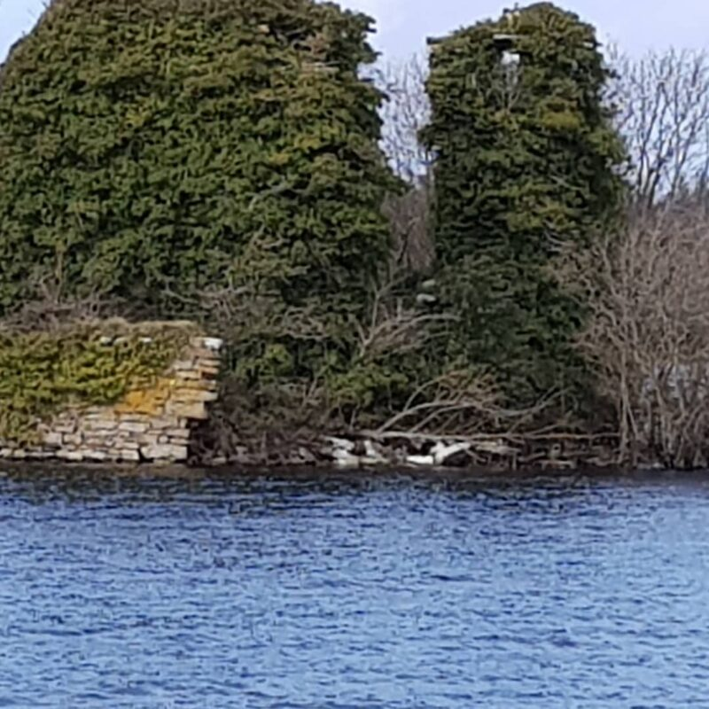 LeitrimTNetwork's tweet photo. The ruins of Rosclogher Castle and Church on the shore of Lough Melvin, ancestral home of the Mac Clancys of Dartry. #heritage #history #loughmelvin #crannog #spanisharmada #macclancy #leitrim #dartry #irelandshiddenheartlands #wildatlanticway #ireland
https://t.co/xAPEsD0IpP https://t.co/Sa8X9aeLVR