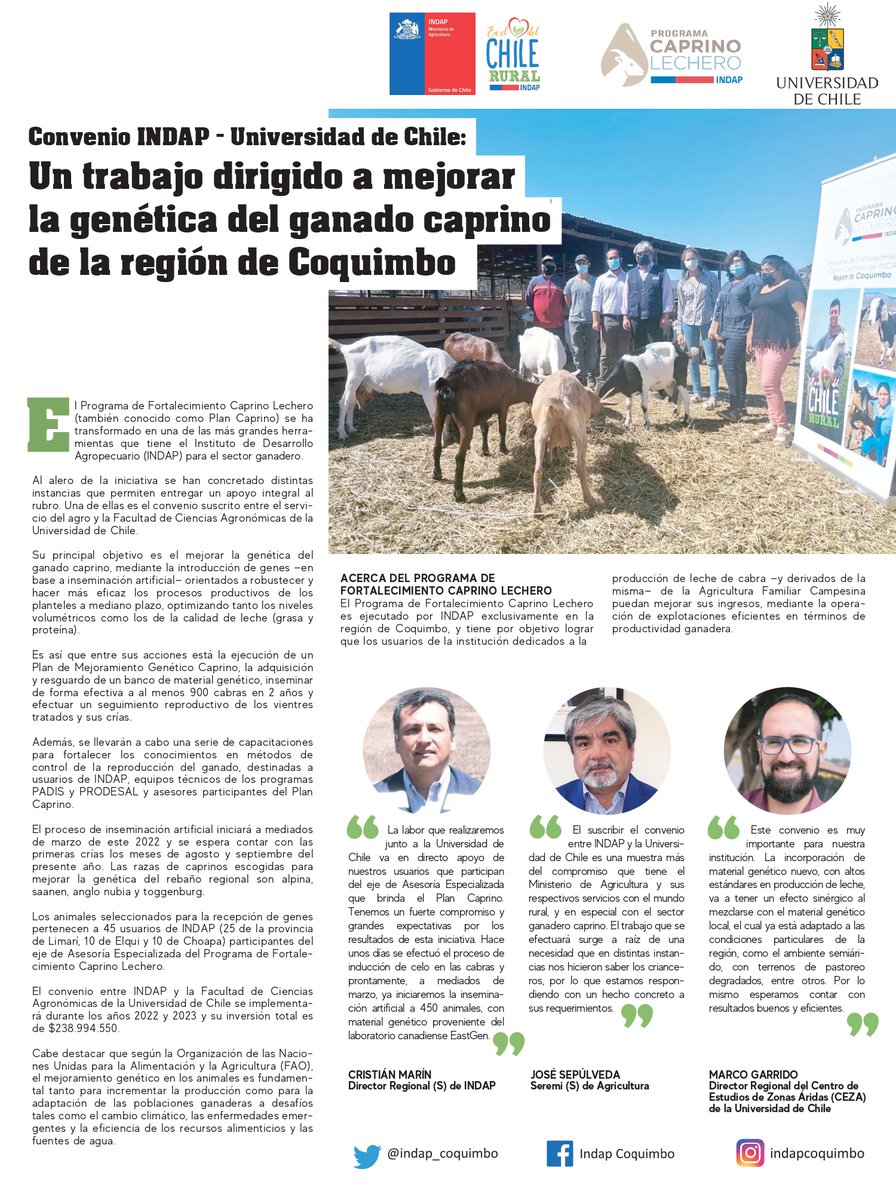 Indap_coquimbo's tweet photo. ✅Seguimos dando grandes pasos en el marco del #ProgramaCaprinoLechero🐐  

Uno de ellos es el convenio con @uchile, dirigido a mejorar la genética del ganado caprino de la #RegiónDeCoquimbo👏

Para conocer los detalles de este trabajo te invitamos a leer la siguiente nota🗞️👇 https://t.co/sI9NH6H4V2