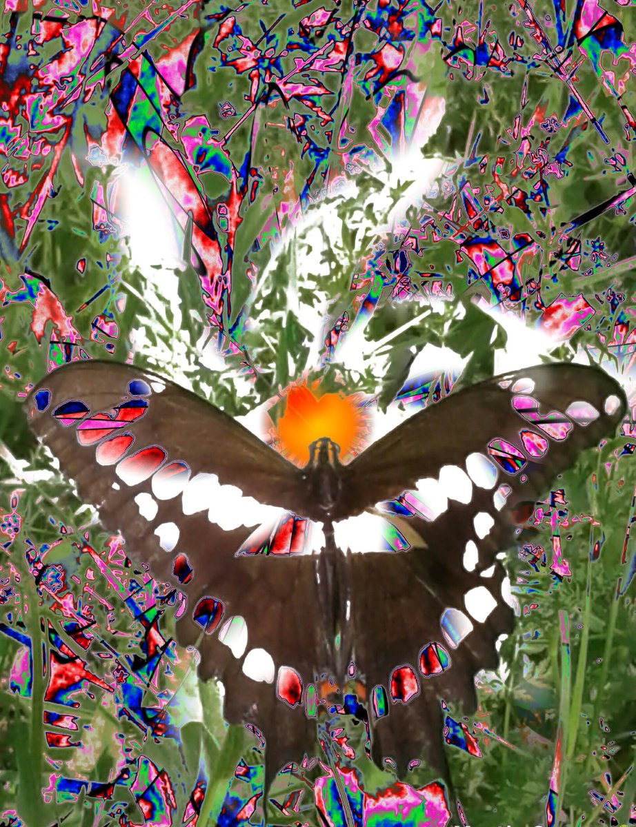 amf101fma cReAtIoN*s (@freememark) on Twitter photo 🎉🎉Giveaway🎉🎉Time🎉🎉
🎁 Graffiifly 🎁
1⃣ Like/Retweet/Tag 3
2⃣ Follow <a href="/FreemeMark/">amf101fma cReAtIoN*s</a> <a href="/mohmadseady3/">mohmadseady</a>
3⃣ .wam
4⃣ Ends: 24hrs
🍀🍀Good Luck🍀🍀
#NFT #NFTGiveaway #NFTCommunity #NFTdrop #NFTProject #NFTCollection #WAXNFT #WAX 🎉🎉Giveaway🎉🎉Time🎉🎉
🎁 Graffiifly 🎁
1⃣ Like/Retweet/Tag 3
2⃣ Follow <a href="/FreemeMark/">amf101fma cReAtIoN*s</a> <a href="/mohmadseady3/">mohmadseady</a>
3⃣ .wam
4⃣ Ends: 24hrs
🍀🍀Good Luck🍀🍀
#NFT #NFTGiveaway #NFTCommunity #NFTdrop #NFTProject #NFTCollection #WAXNFT #WAX
