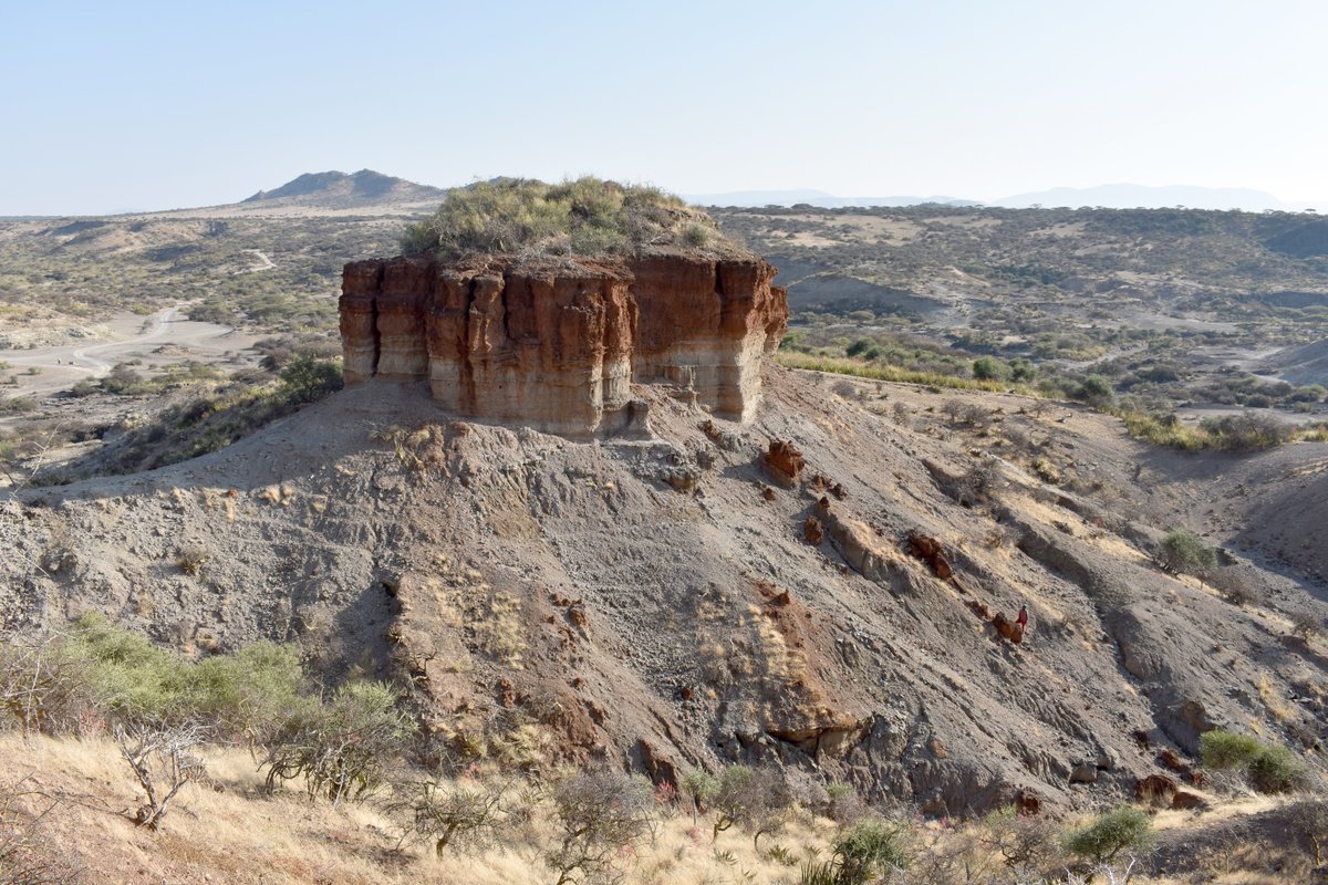 iphes's tweet photo. 🟣 A recent scientific study uses GIS techniques at a millimetrical scale to distinguish between natural and anthropic microbotanical residues attached to stone tool surfaces 🔗Open Access: https://t.co/UcMGrgKyTu https://t.co/jqjkffQXOZ