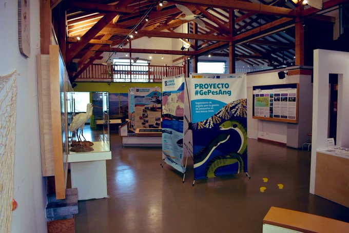Ekoetxea_eus's tweet photo. 📌 #Ekoetxea #Txingudi
Esta semana en el centro se puede encontrar la exposición "#GePesAng".
ℹ️ Se trata de un proyecto sobre el seguimiento de la anguila europea dentro de la Red #Natura 2000.
📆Visita gratuita hasta el 31 de marzo en horario de apertura. c/c @asociacionanse https://t.co/FuLEtPBcdK