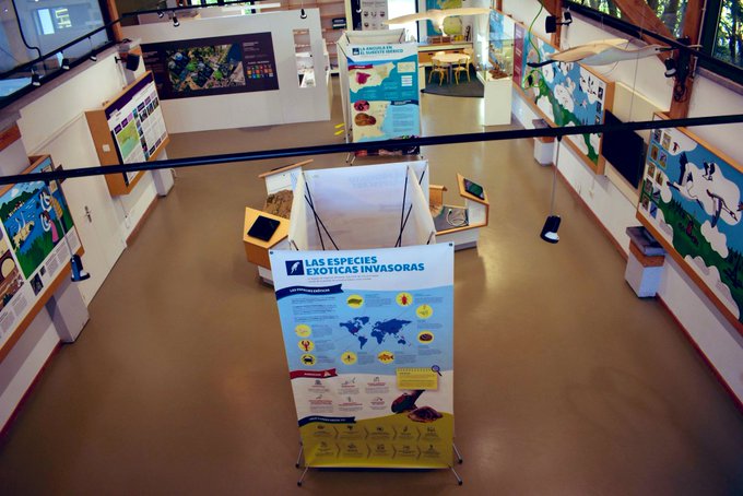 Ekoetxea_eus's tweet photo. 📌 #Ekoetxea #Txingudi
Esta semana en el centro se puede encontrar la exposición "#GePesAng".
ℹ️ Se trata de un proyecto sobre el seguimiento de la anguila europea dentro de la Red #Natura 2000.
📆Visita gratuita hasta el 31 de marzo en horario de apertura. c/c @asociacionanse https://t.co/FuLEtPBcdK