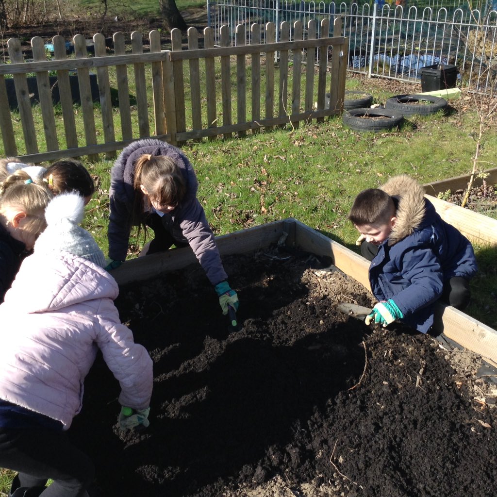 Getting our hands dirty preparing the soil in gardening club today 🌻☘🌲do you like to grow things at home? <a href="/ainthorpeschool/">Ainthorpe</a> #gardening #outdoorlearning