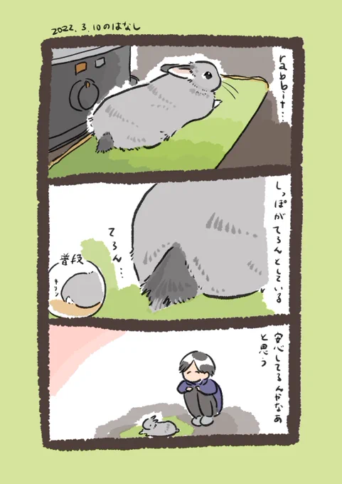 今日のrabbit…
#うさぎのいる生活 