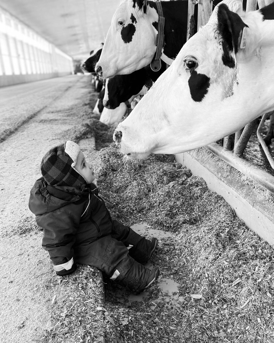 martin_jess_'s tweet photo. Premilking chats are V important https://t.co/ZuZpKUhqgv