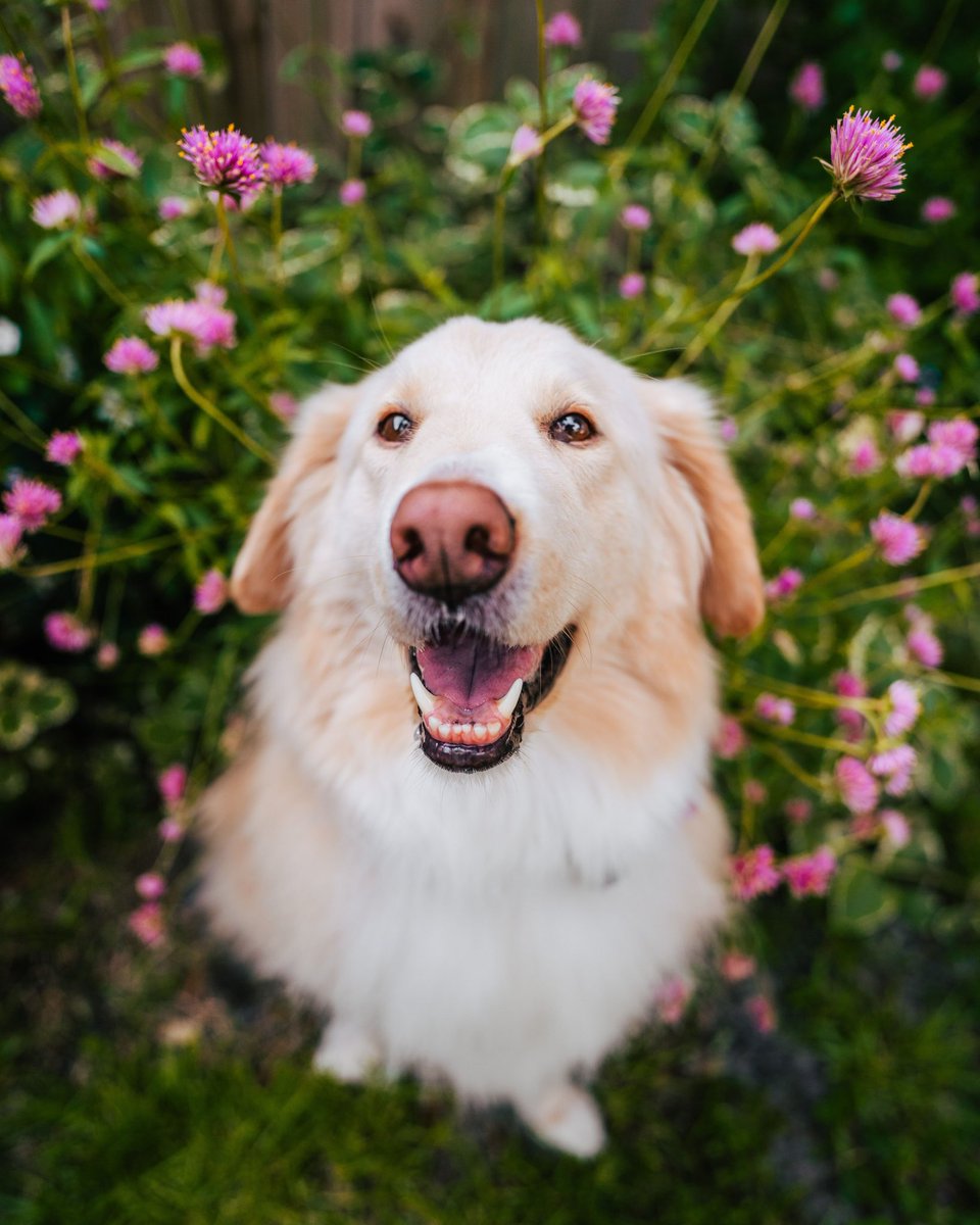 Ally, Kai & Riley tweet media