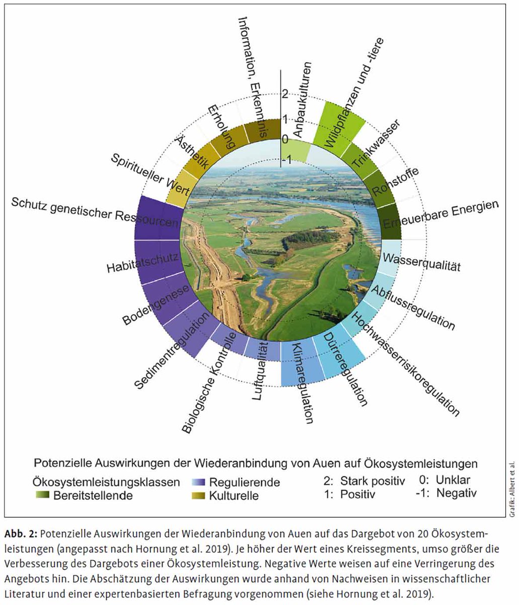 DrChrAlbert's tweet photo. 📣Was sind #naturbasierteLösungen in Flusslandschaften? Welche Vorteile können sie erbringen? Wie kann die Planung und Umsetzung gelingen?
🔟Thesen aus Forschung von @PlanSmart_Info sowie Empfehlungen für BürgerInnen, Planung und Politik in @MagazinNul 
👉https://t.co/nUVwowvDFy https://t.co/D1EtZnAOZV