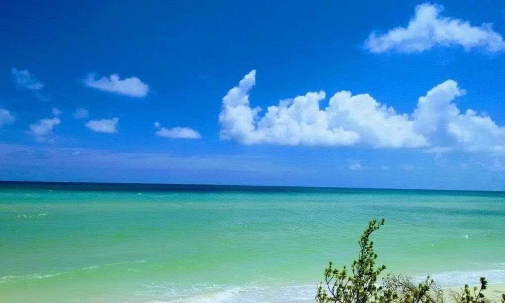 MiylaG20151's tweet photo. Buenos días y seguirá el calor en Yucatan https://t.co/jIeuQyTnvo