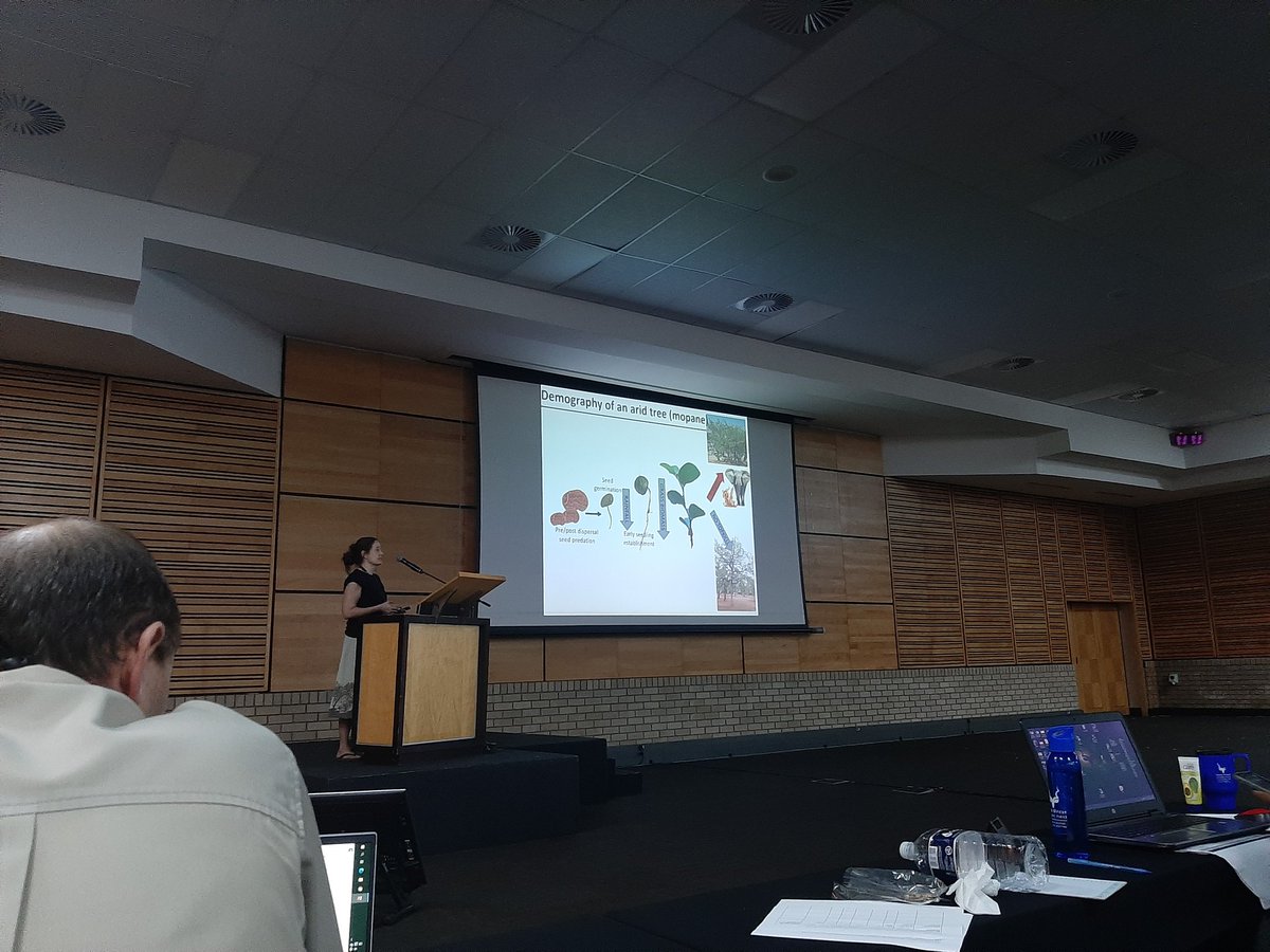 @nicola_stvns in her element talking about how certain landscape disturbances can affect the sterility of mopane trees #SSNM