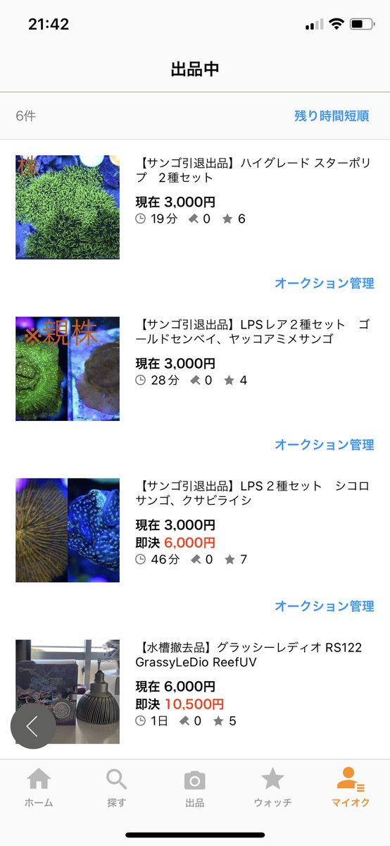 dezi0408's tweet photo. もう少しで終了なので、見ていってください🙁 https://t.co/f0nSEh6MZ4