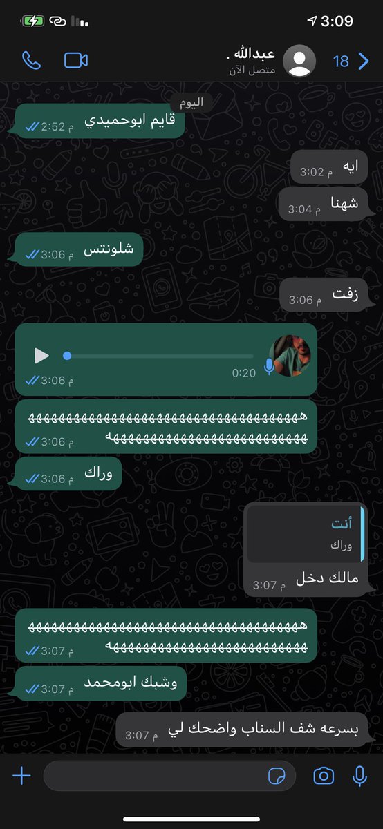 صالح 🎼 tweet media