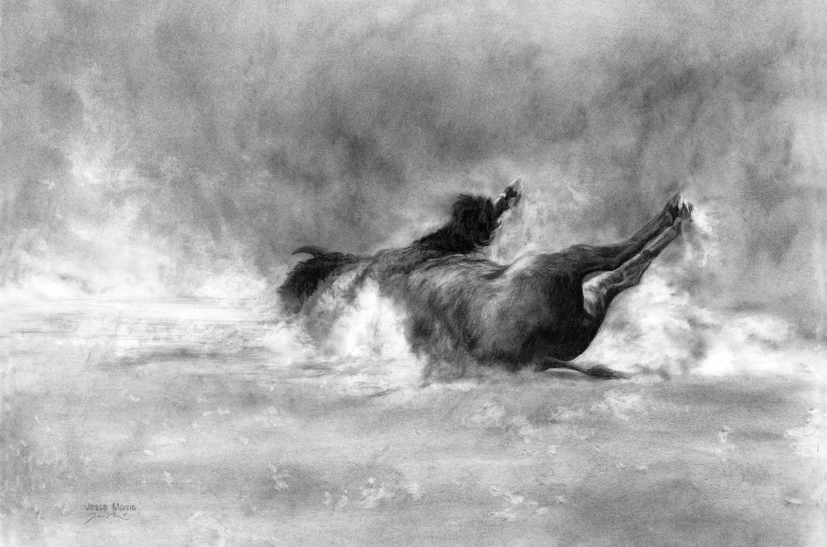 A Plains bison wallowing in a dust bath. Charcoal on paper.
#charcoal #bison #drawings