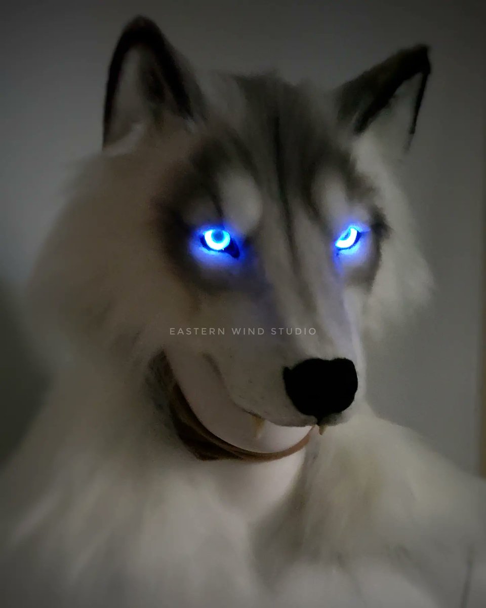 EasternWind_STU's tweet photo. A look at this mantle headdress combo before I ship her off to cause havoc
.
Featured: Autumn wolf sculpt in light gray fur, acrylic eyes with LEDs, teeth. 
.
Remember to be fierce but compassionate 💪 👑
.
Inquiries and orders via https://t.co/EKAOQrDDdM 🌱 https://t.co/d8wRavAlSA