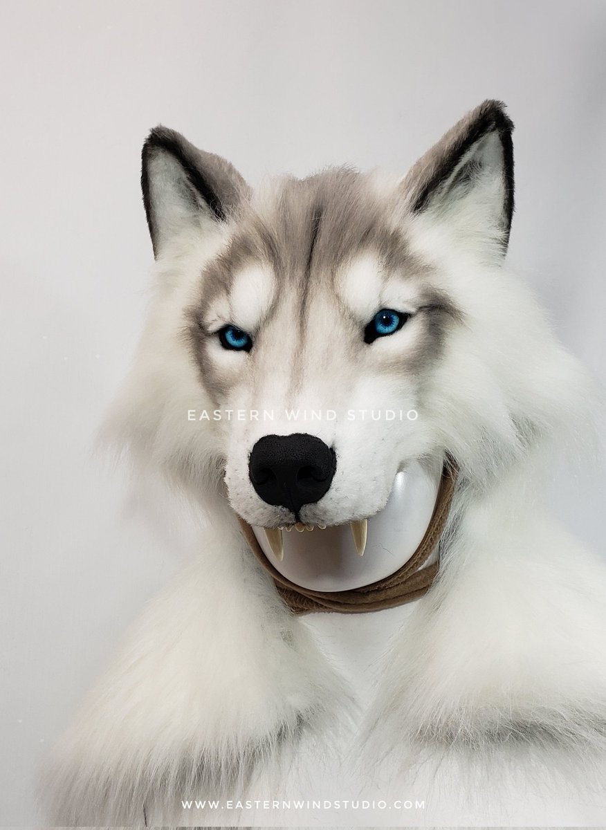 A look at this mantle headdress combo before I ship her off to cause havoc
.
Featured: Autumn wolf sculpt in light gray fur, acrylic eyes with LEDs, teeth. 
.
Remember to be fierce but compassionate 💪 👑
.
Inquiries and orders via easternwindstudio.com 🌱