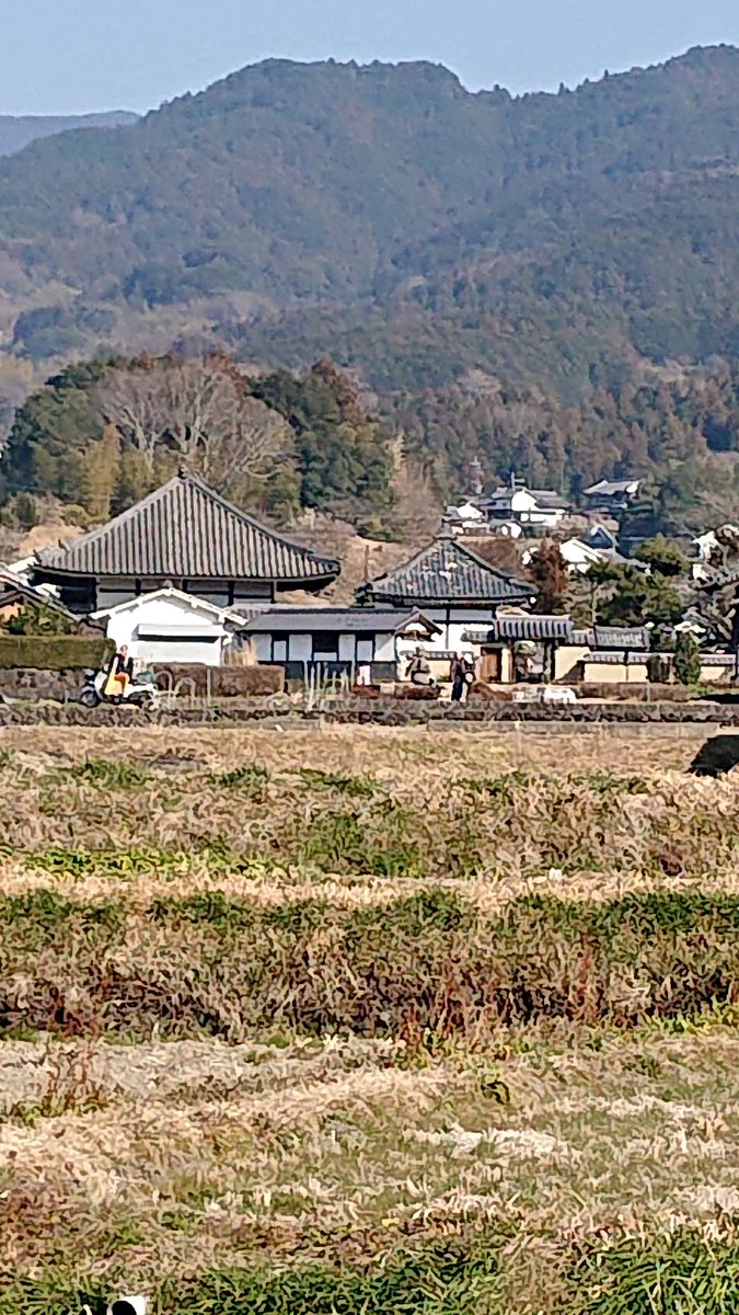 asukavill's tweet photo. 特集／3/13飛鳥ハーフマラソン🏃 世界遺産構成資産候補を走る  その２
５枚目：川原寺(左手、寺手前に塔や回廊基礎が‥)
６枚目：橘寺(右手、聖徳太子生誕の地)
７枚目：飛鳥寺(右手、飛鳥大仏が座す飛鳥寺の手前に 入鹿の首塚)
８枚目：水落遺跡(右手、日本最初の水時計の跡)
ここで6.3㎞❗未々続く‼️ https://t.co/rjMBFLf23W