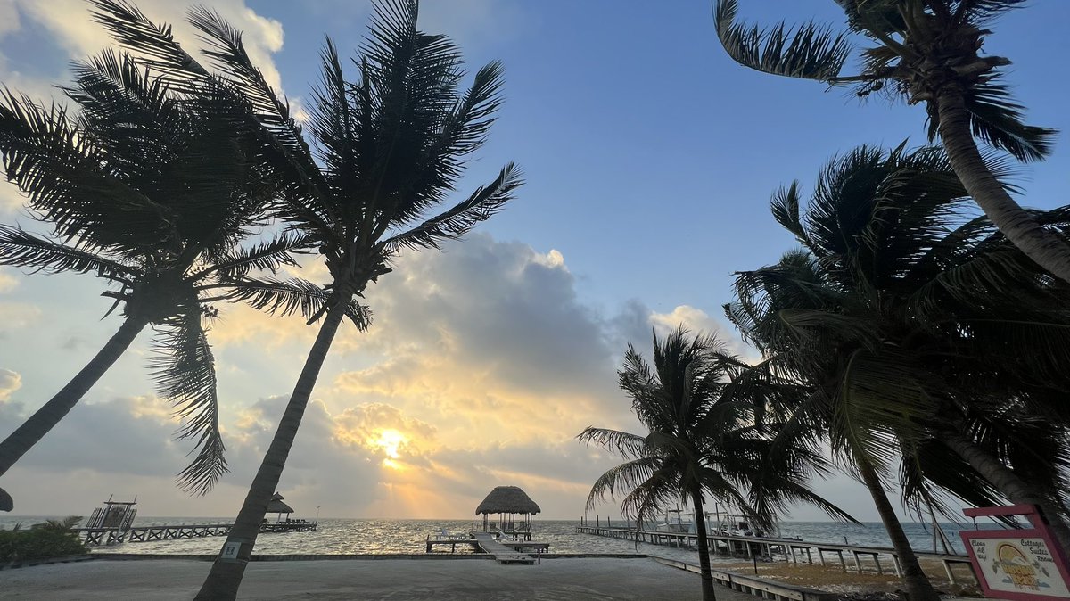 O5Updates's tweet image. The O5’s found out who was running this account and had me suspended and deported. I’ve had my fill of vacation though, so once I find my way back to the nearest facility and fake my credentials, I’ll post more updates