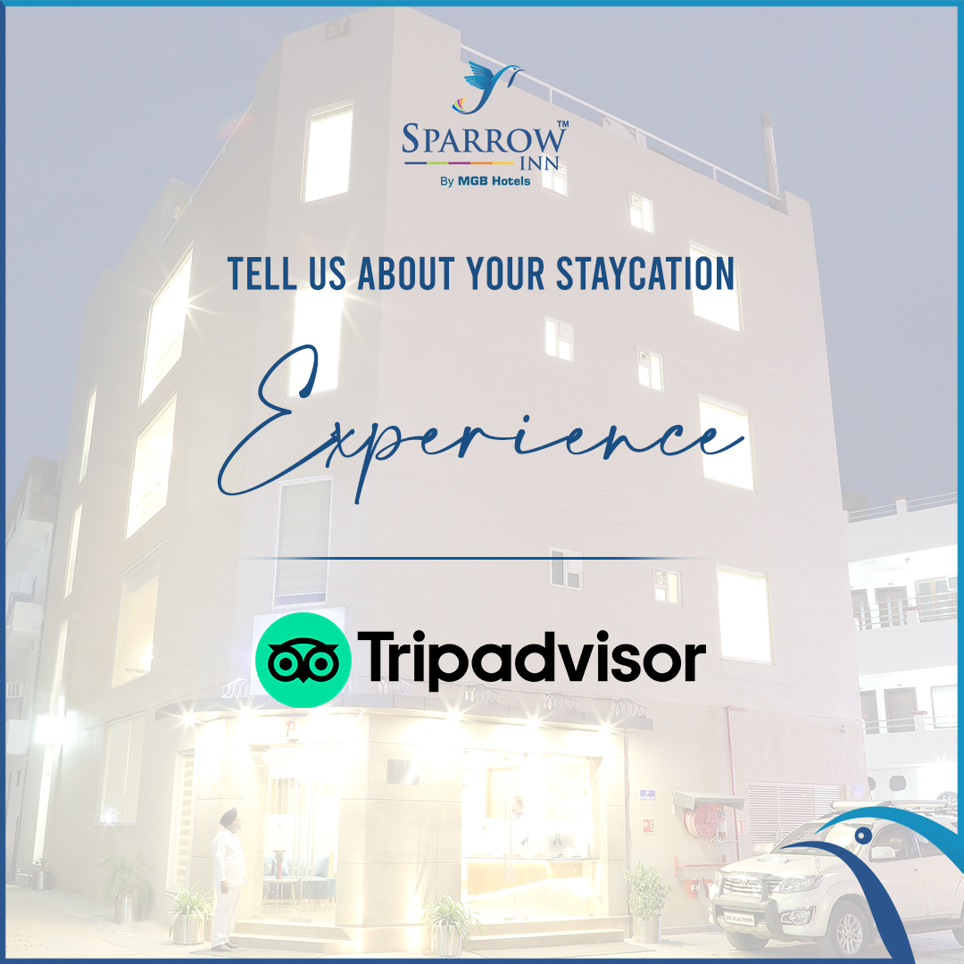 sparrowinn's tweet photo. Your feedback is our motivation which inspires us to do much better every day in terms of hospitality and management. 

Click and review: https://t.co/uhj3qUJZh7

#SparrowInnByMGB #HotelsInAlwar
#MGBHotels #HotelsinRajasthan #ComfortableStay #Rooms #MGBGroup #TripadvisorReview https://t.co/Um7sLtGPu5