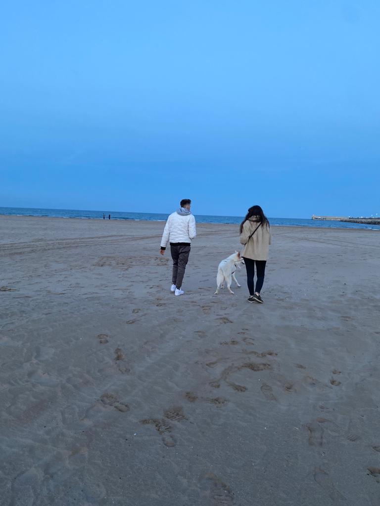 SarGonzlez's tweet photo. Paseos por la playa, sol, paz, desconexión y buena compañía ☀️🕊✌🏼 muy muy felizzz https://t.co/nyUKNeyzbL