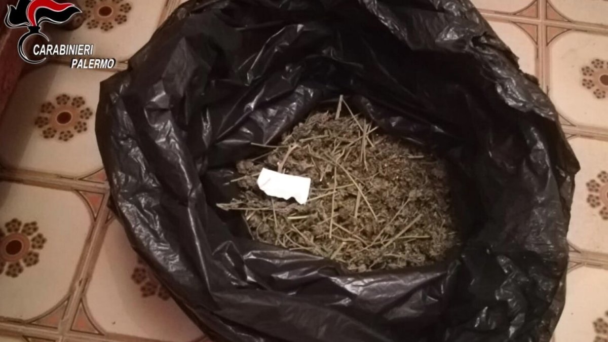 PalermoToday's tweet photo. "Avevano il reddito di cittadinanza ma arrotondavano spacciando droga": condannati in 9 https://t.co/Rc4HvNW4mQ https://t.co/wijTjjiBCa