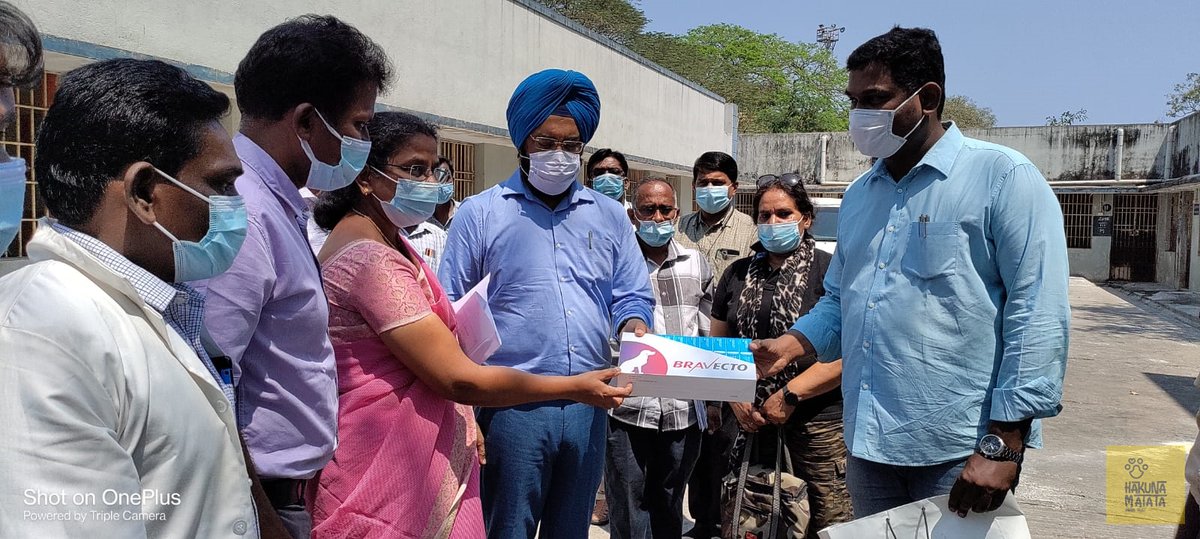 HMATIndia's tweet photo. We handed over Bravecto tabs to @GSBediIAS  - Commission @chennaicorp. In the presents of @DrManishIAS - DC Health &amp; VO. in the dog pound.

Bravecto helps in recovery of mange dogs (skin issues).

Once they recover from mange #AnimalBirthControl can be done &amp; they can be released https://t.co/2wm9deshup