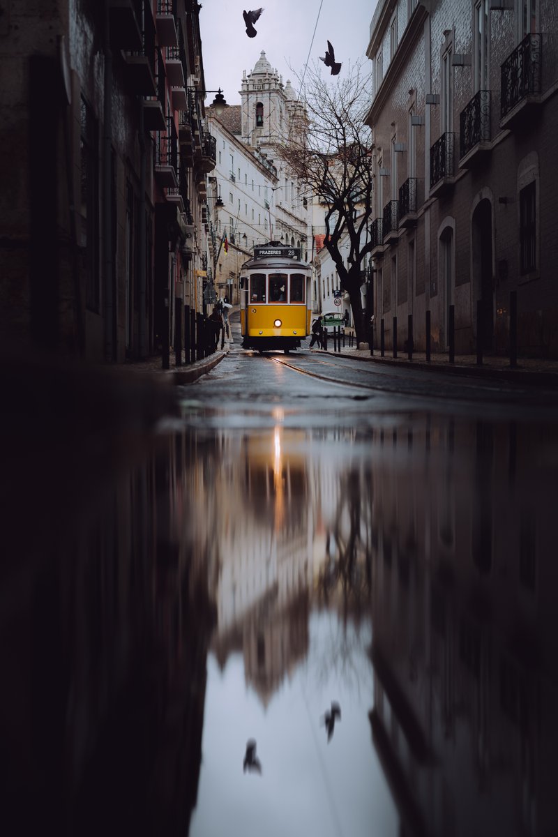 All the Lisbon vibes 🇵🇹 Visited this city several times already but never experienced it with heavy rain. Here's one of my favorite shots.