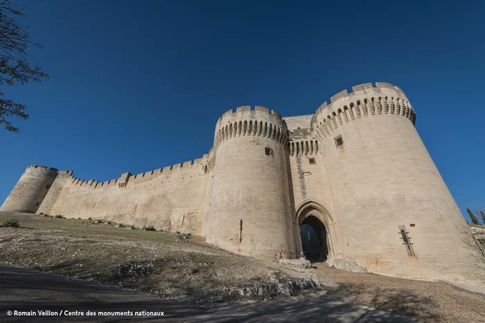 LesMonumentsNat's tweet photo. Un rôle stratégique 🏰 
Ancienne forteresse permettant aux rois de France d’afficher leur puissance face au Pape et aux royaumes ennemis, le #FortSaintAndre offre aujourd’hui un panorama exceptionnel. 🔍 https://t.co/5Q2VIiIx8q https://t.co/04JDMjj4oD