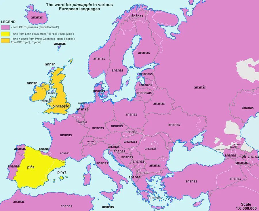 simongerman600's tweet photo. English and Spanish appear to be the only European languages not calling "Pineapple" "Ananas". Source: https://t.co/pXlzXKrvZj https://t.co/zKNP1PyZAz