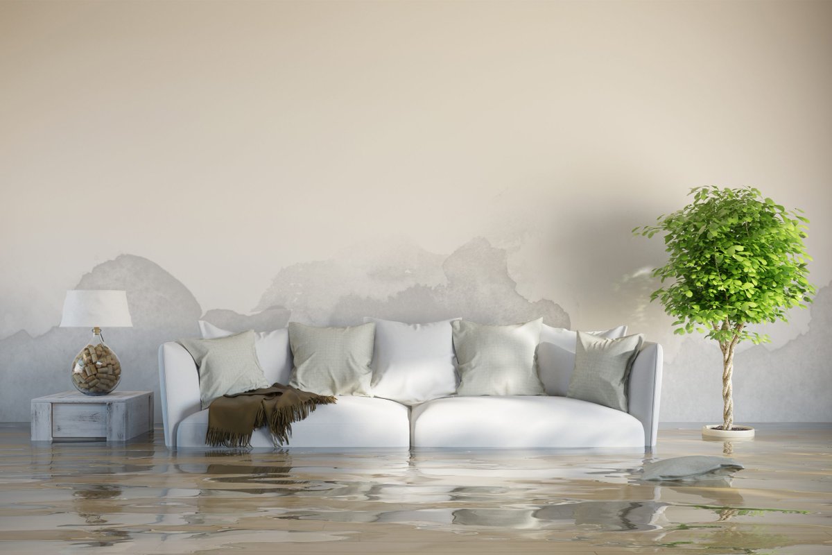 KatastropheMas_'s tweet photo. #WaterDamage from leaking pipes, foundation cracks, appliance leaks, malfunctioning heaters, floods, or even clogged toilets causes #damage to your property.

Contact our water damage restoration Long Island experts now! https://t.co/zKM2anYFoe #WaterDamageExpertLongIsland https://t.co/a9KOFbZDdi
