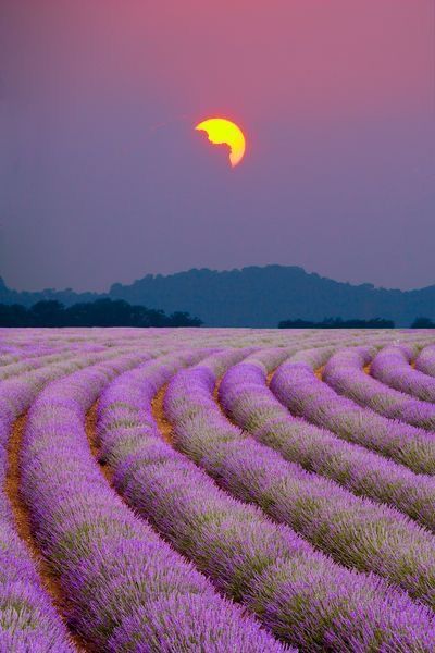 RashadaWrites's tweet image. appealing #nature beauty everywhere! #naturephotograph