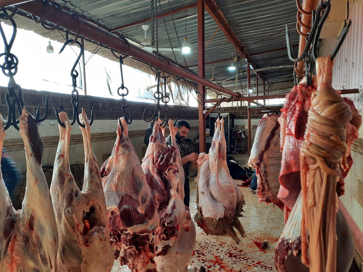BeklenenUIYD's tweet photo. 9 mart 2022 hayırsever iş adamlarımız Afrin'de 2 büyük 4 küçük baş kurbanlarını günlük 7500 kişiye verdigimiz yemek dağıtımımız için infak ettiler. https://t.co/2OFmfhDPdj