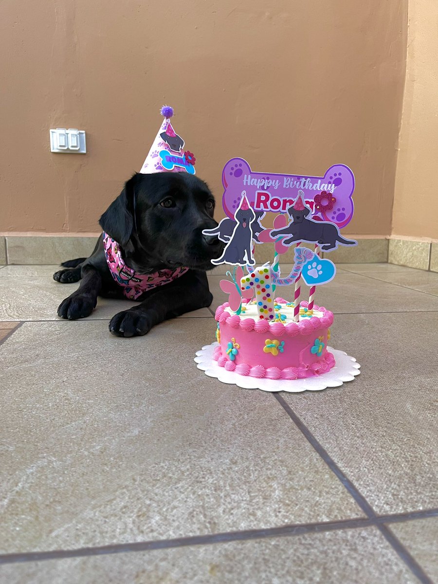 Nathaly Anayanzi tweet media