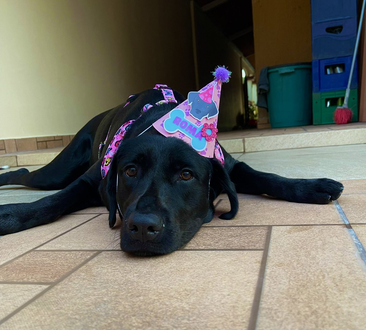 Nathaly Anayanzi tweet media