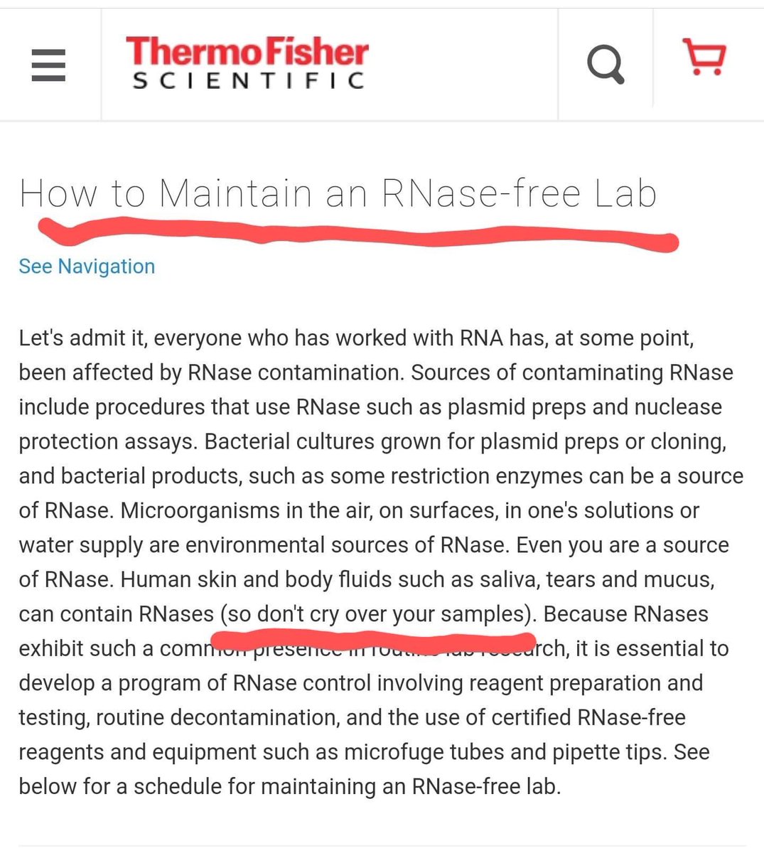 Erik A. Rodriguez tweet media