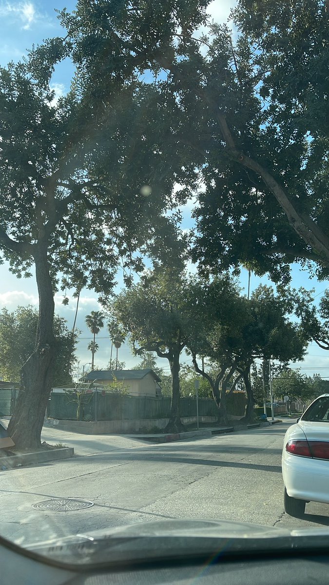 TreeVillage831's tweet image. Good morning hope everyone is having a great Thursday!!!!