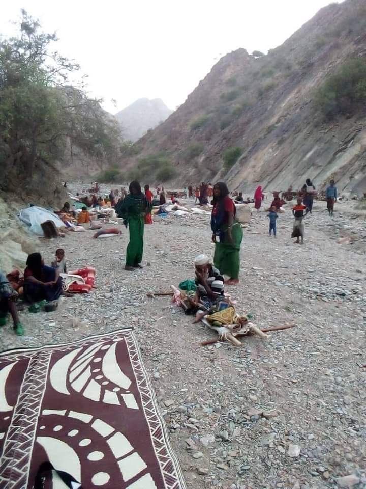 NurTahir3's tweet image. International Community shall break its silence and call a spade a spade .The Aggression of the terrorist Tigray People's Liberation Front(TPLF) against the Northern Zone of the Afar Region has continued and is entering its third month.The shelling of Afar with the terrorist.1/6