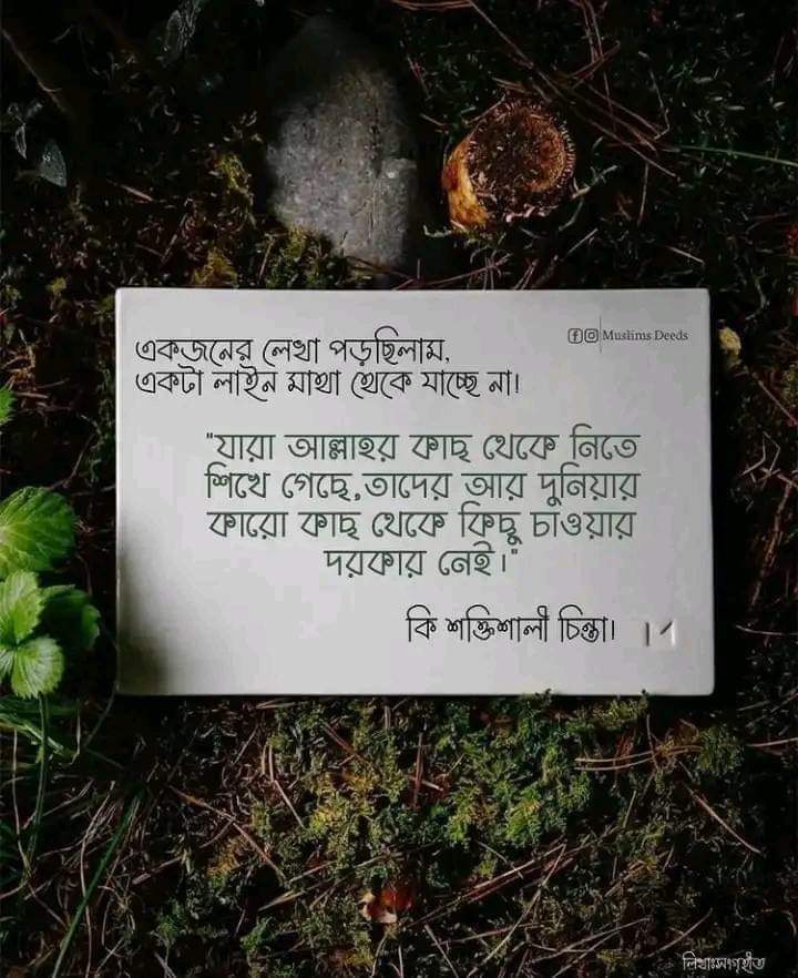 RowsonAraRadiya's tweet photo. https://t.co/QffhjfFFCg