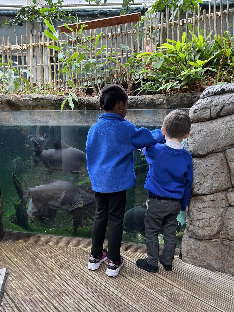 MikeParsonsRPPS's tweet photo. We are all having an amazing time learning about underwater creatures from all over the world! #bristolaquarium #roaths&t https://t.co/STRot7br53